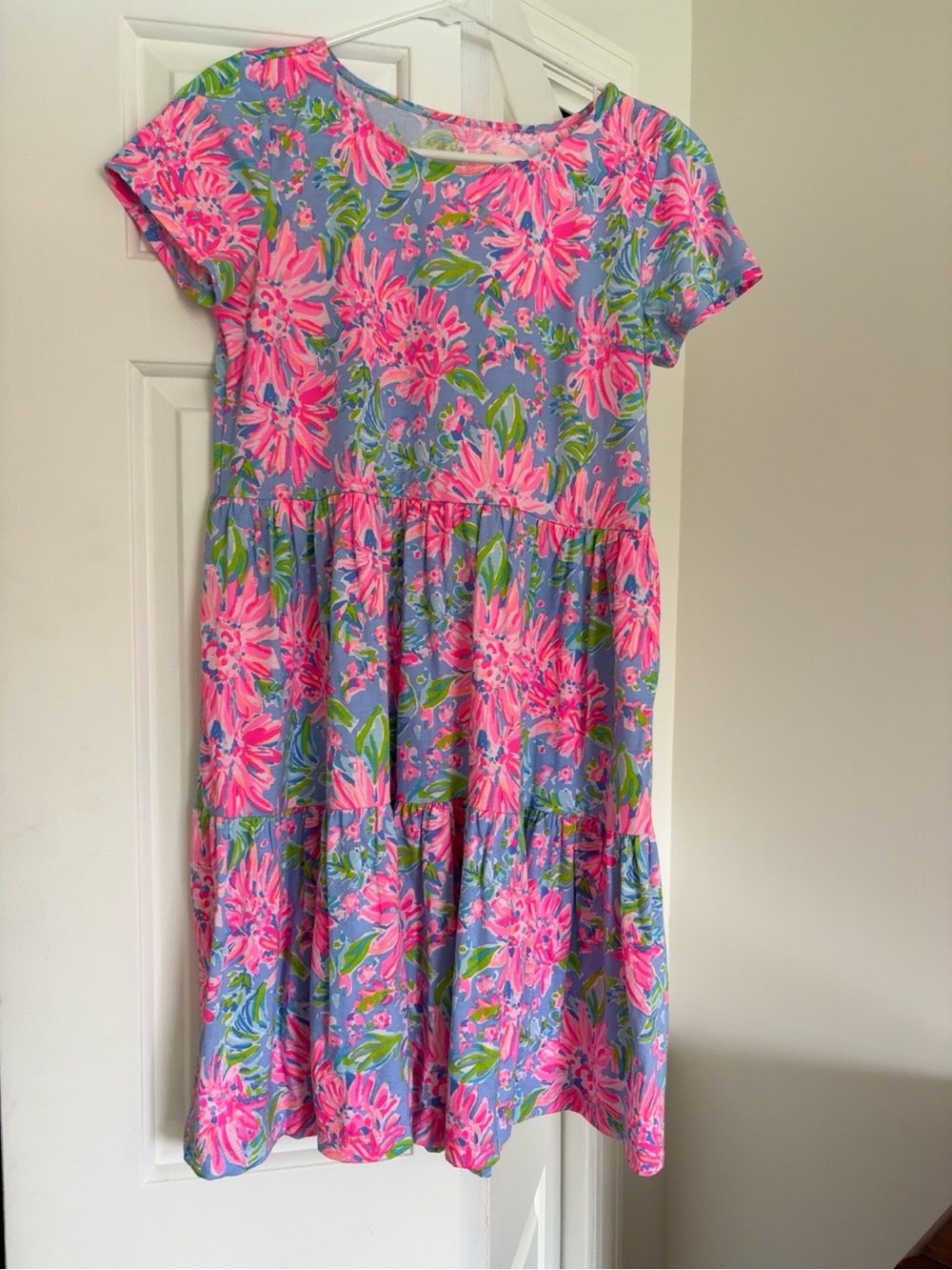 Lilly Pulitzer Geanna Swing Dress XS NWOT Pink Blue Floral Cotton